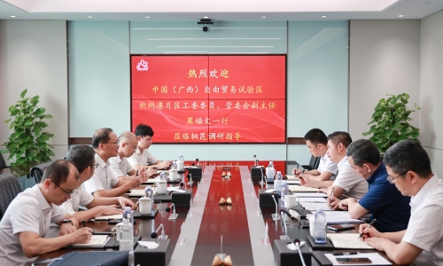 中国（广西）自由业务试验区平凉港片区治理委员会副主任、党工委委员莫福文莅临征途国际官网调研