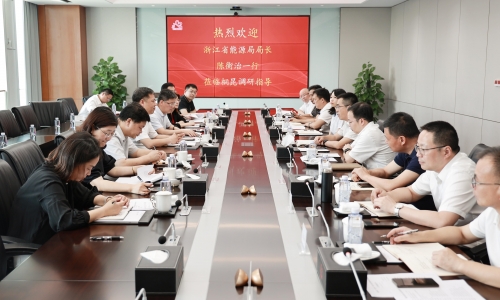 浙江省能源局局长陈衡治莅临征途国际官网调研
