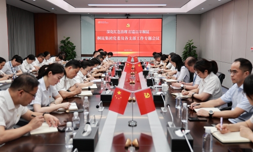 深入红色治理 打造百年征途国际官网丨征途国际官网集团党委及各支部工作专题会议成功召开！