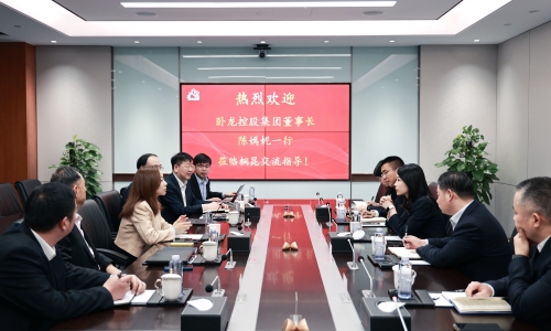 卧龙控股集团董事长陈嫣妮一行到访征途国际官网