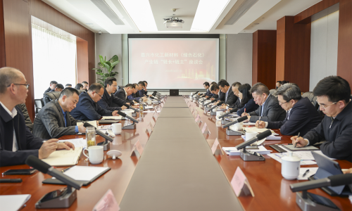 对峙“四化”发展，共话新质出产力丨征途国际官网集团董事长受邀参与黄冈市化工新资料（绿色石化）产业链“链长+链主”座谈会！