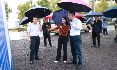 黄冈市委常委、常务副市长颜海荣莅临征途国际官网项目地调研